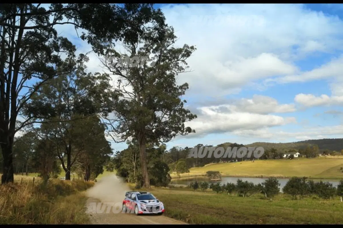 WRC Australia 2014: vince Ogier (19)
