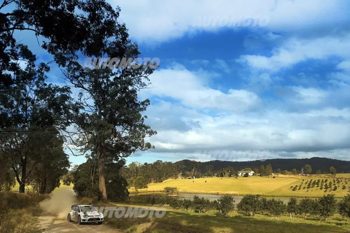 WRC Australia 2014: vince Ogier (20)