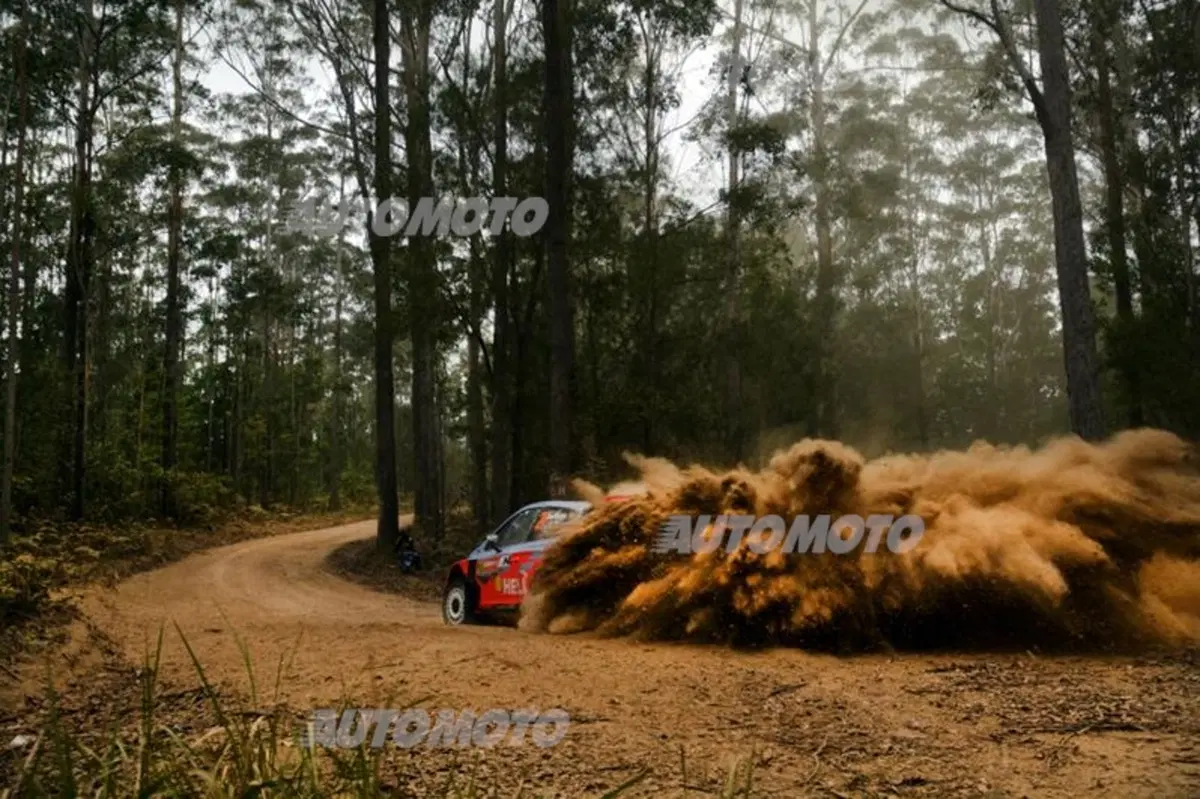 WRC Australia 2014: vince Ogier (27)