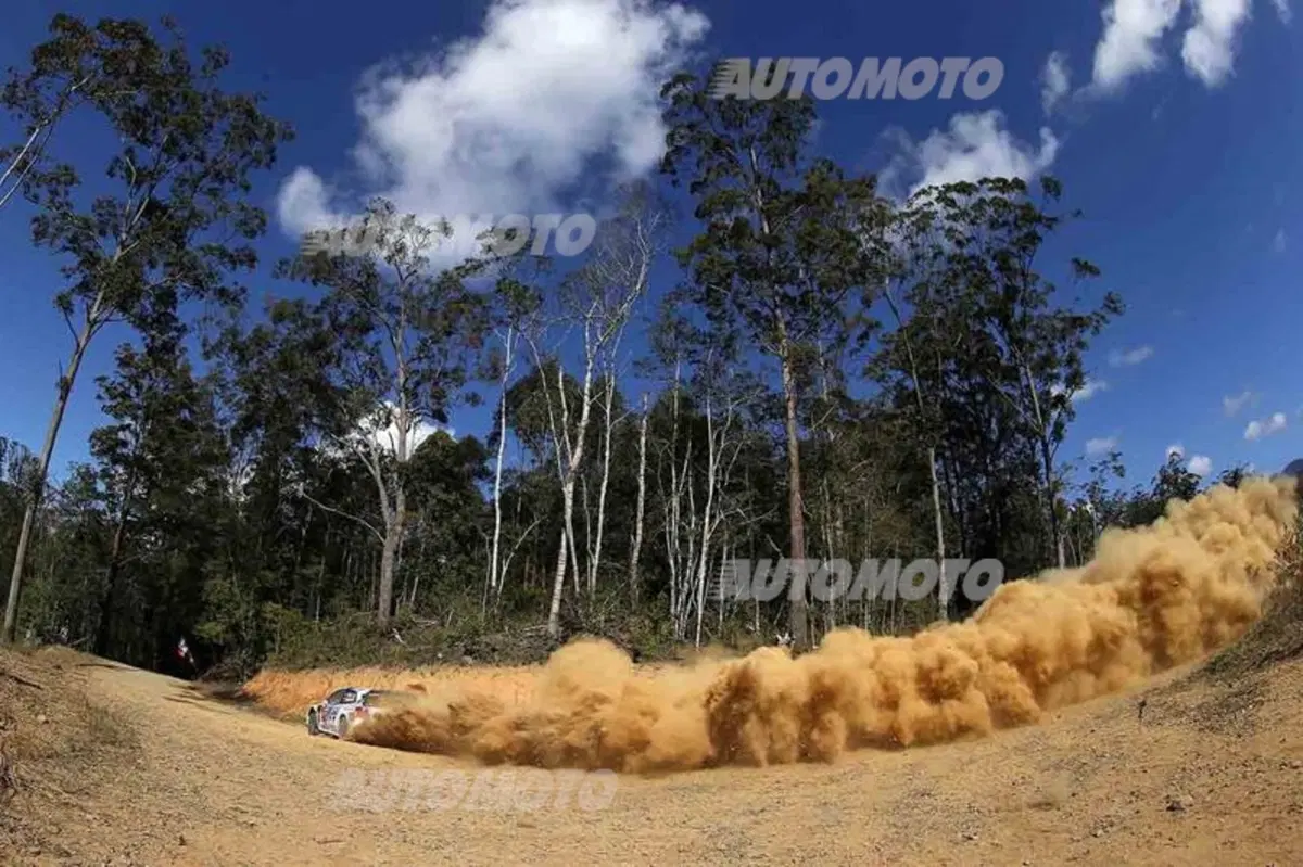 WRC Australia 2014: vince Ogier (29)
