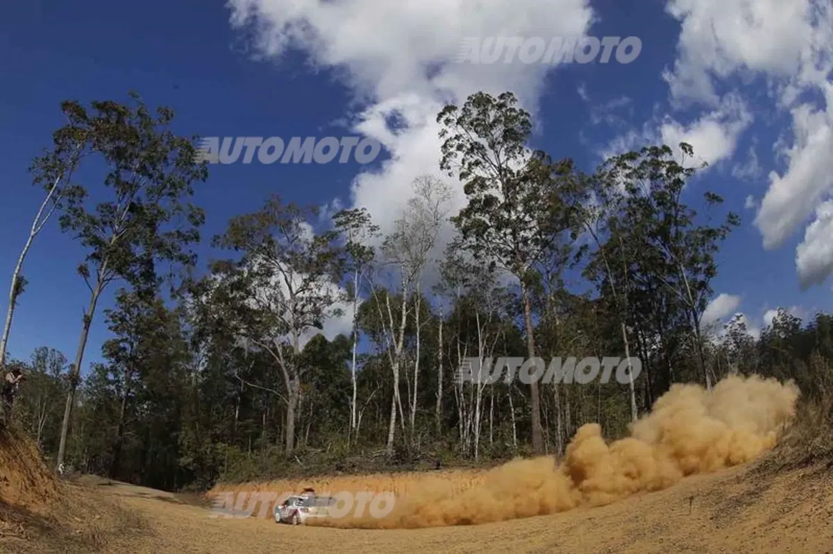 WRC Australia 2014: vince Ogier (31)
