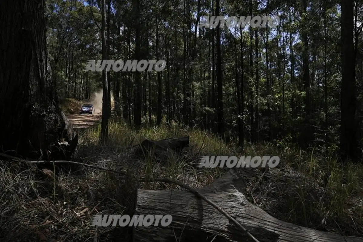 WRC Australia 2014: vince Ogier (32)
