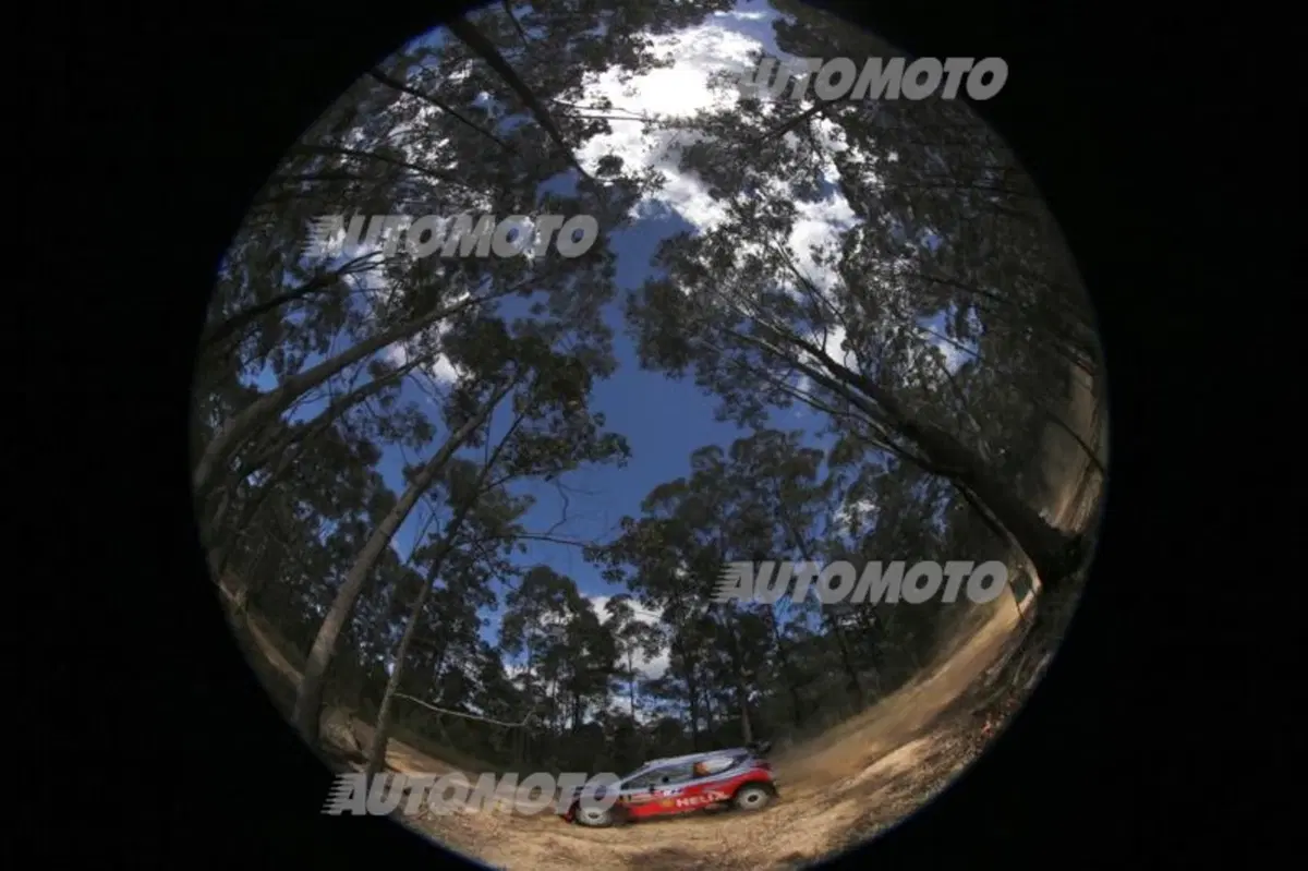 WRC Australia 2014: vince Ogier (34)