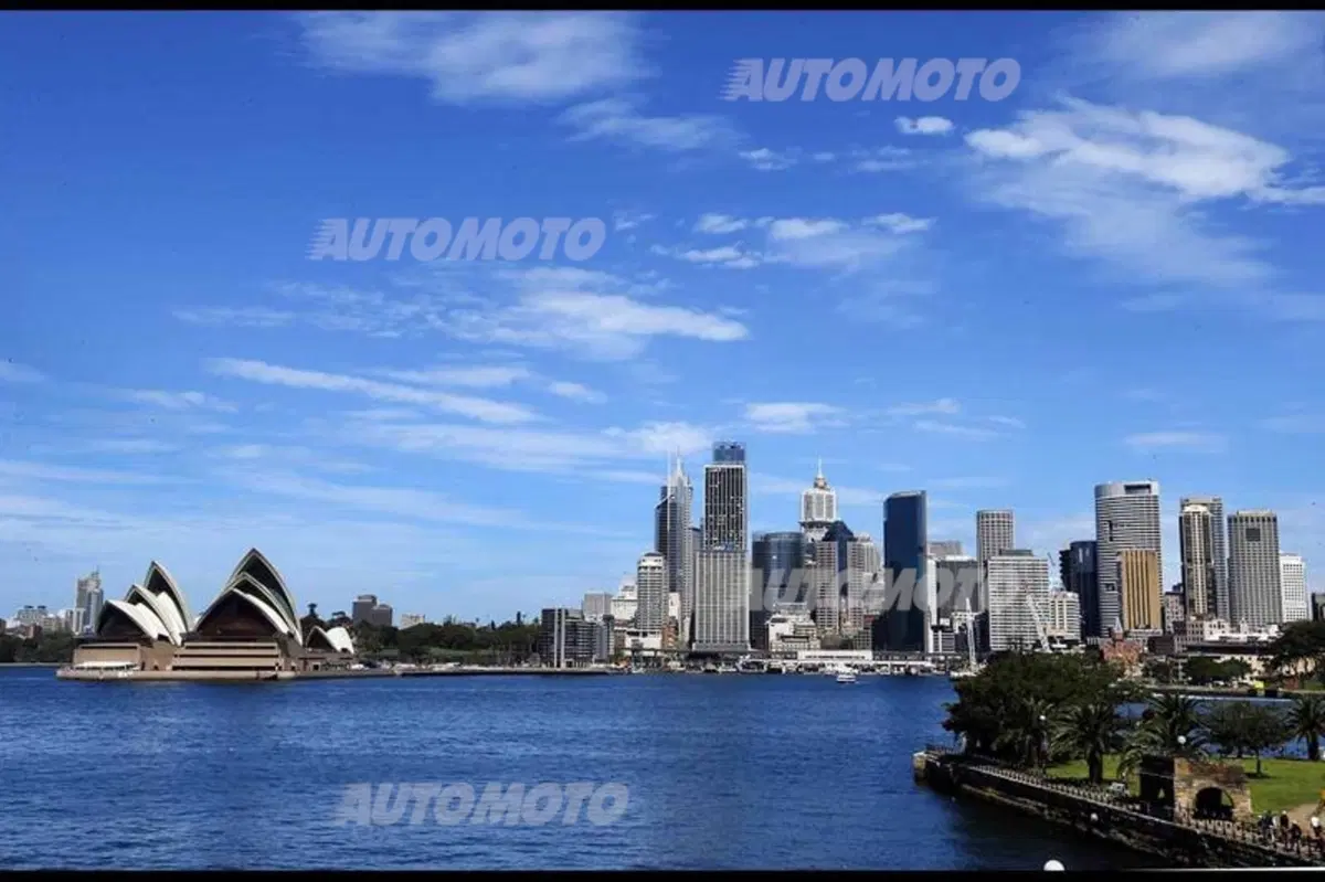 WRC Australia 2014: vince Ogier (45)