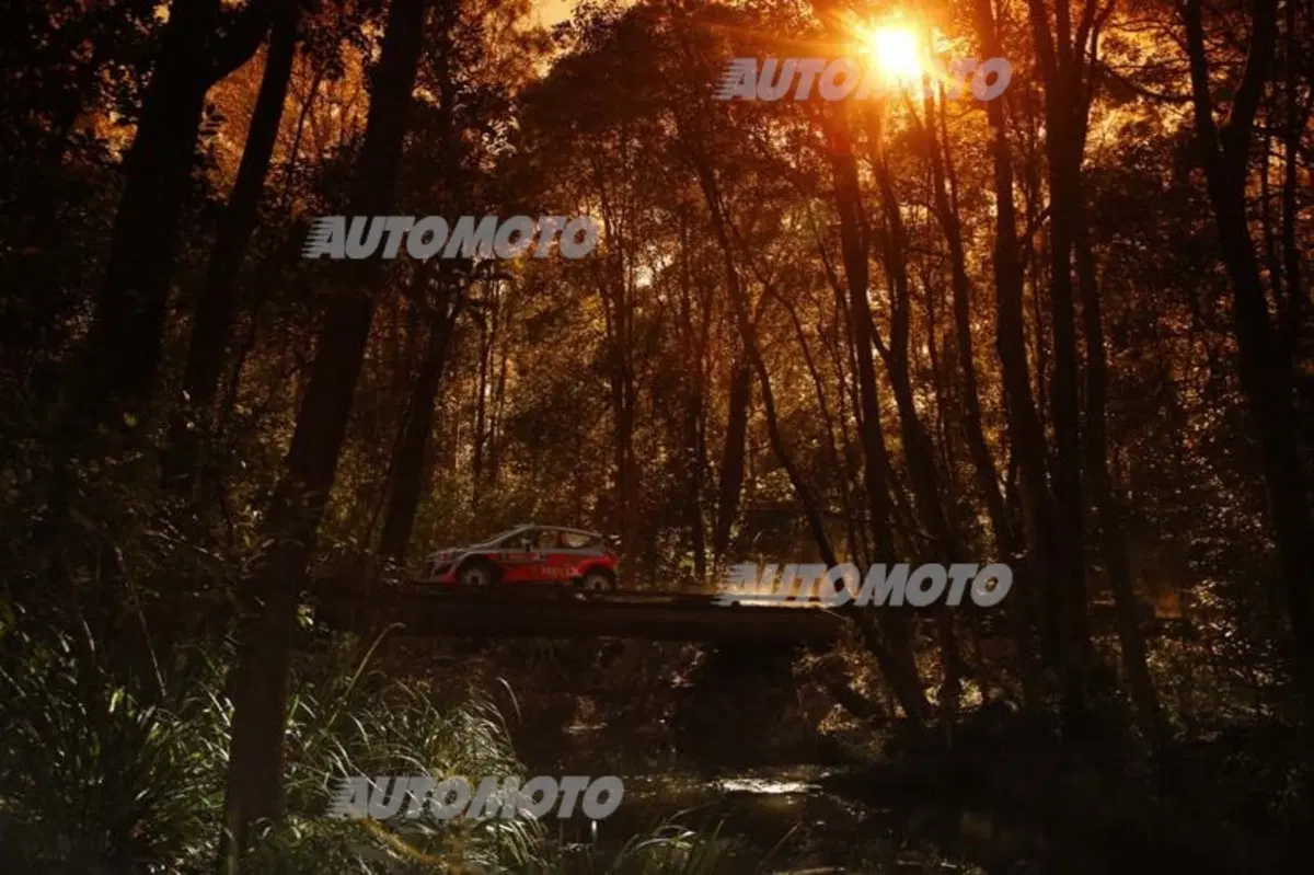 WRC Australia 2014: vince Ogier (52)