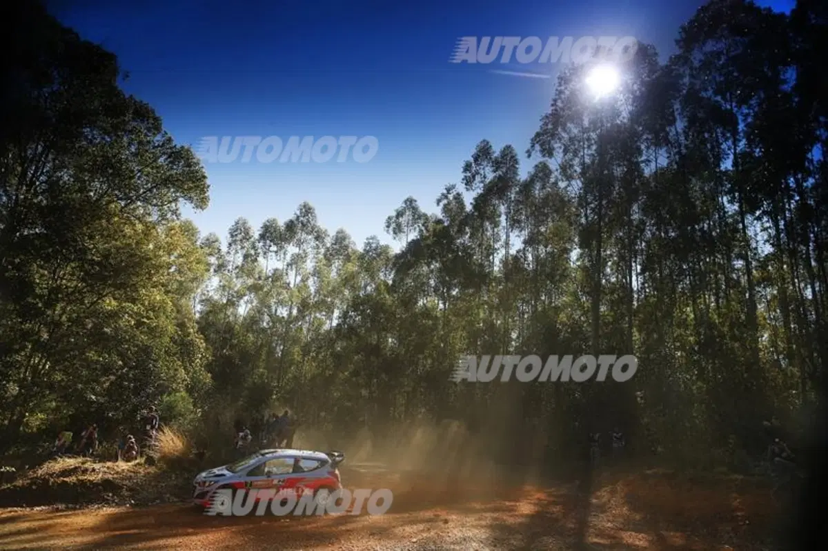 WRC Australia 2014: vince Ogier (53)