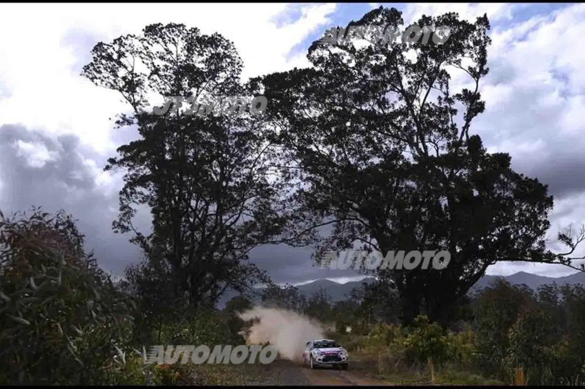 WRC Australia 2014: vince Ogier (58)