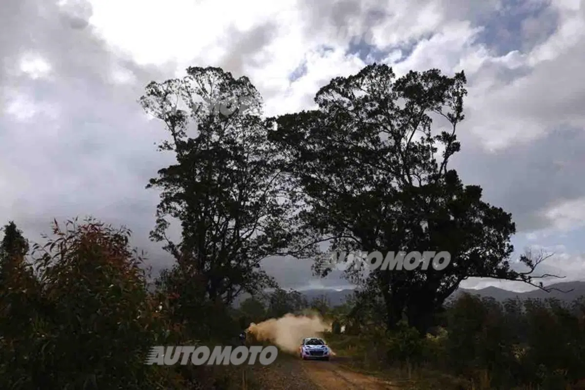 WRC Australia 2014: vince Ogier (59)