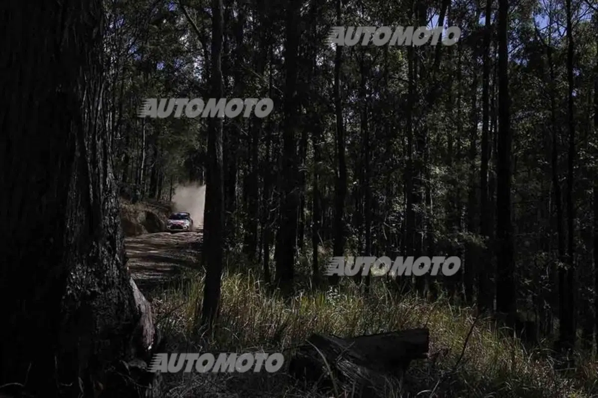 WRC Australia 2014: vince Ogier (62)