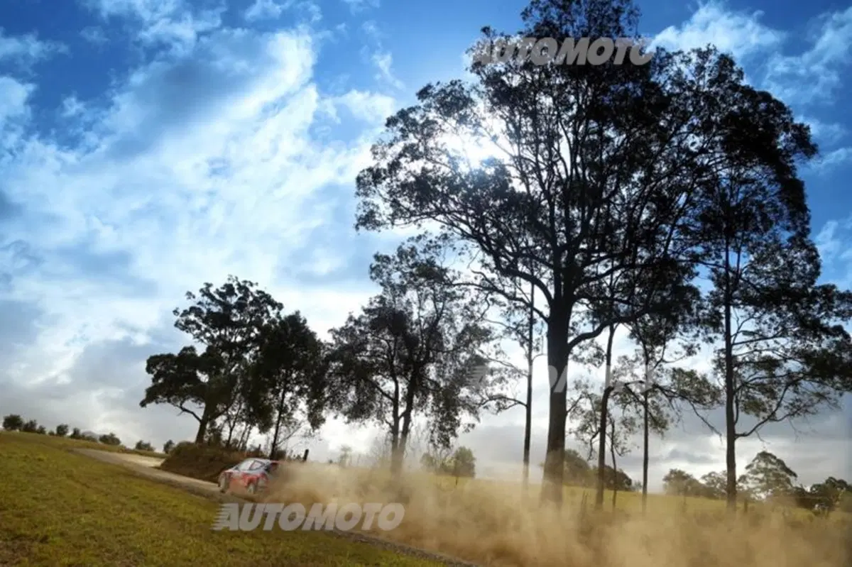 WRC Australia 2014: vince Ogier (66)