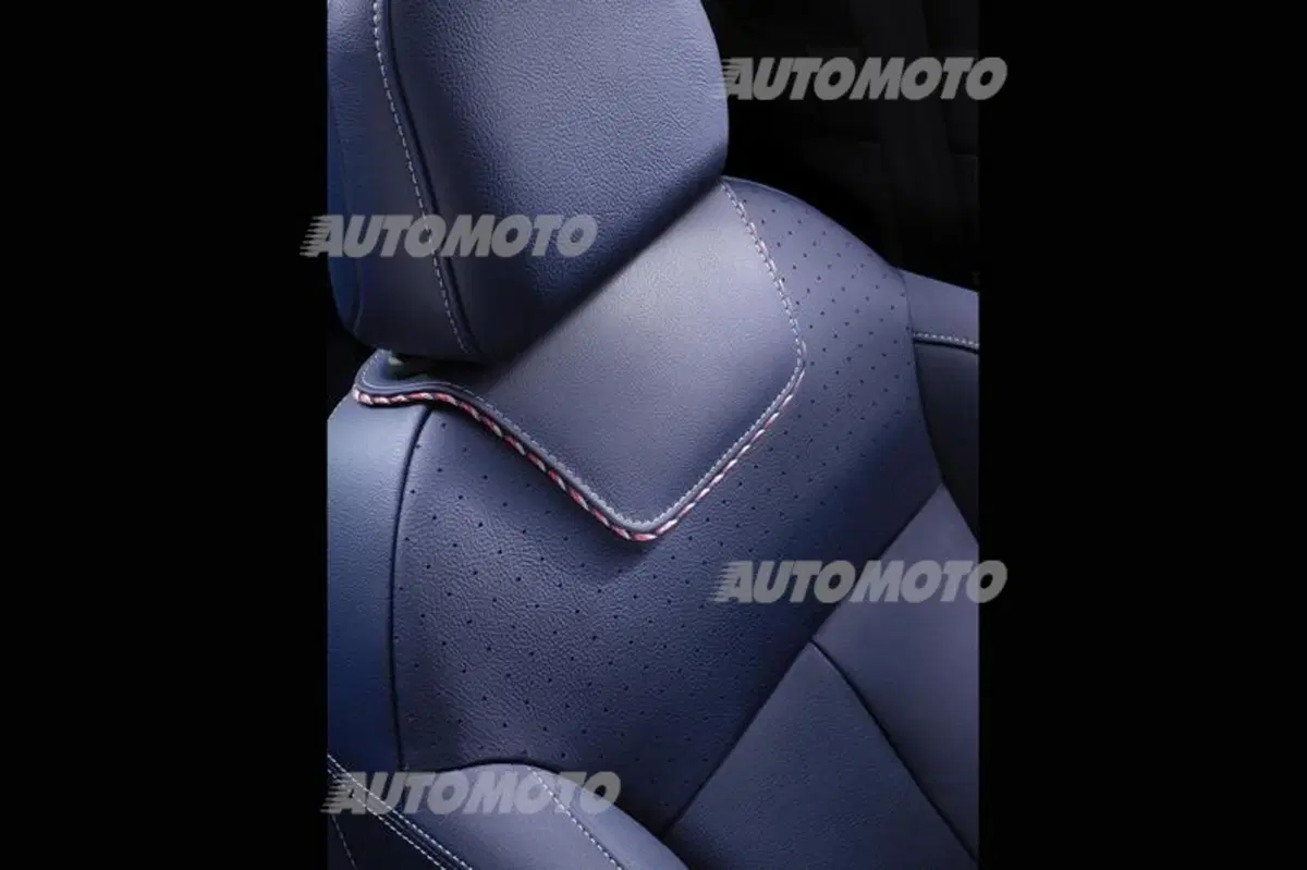 DS3 e DS3 Cabrio Ines de la Fressange Paris concept: lusso sfrenato (6)