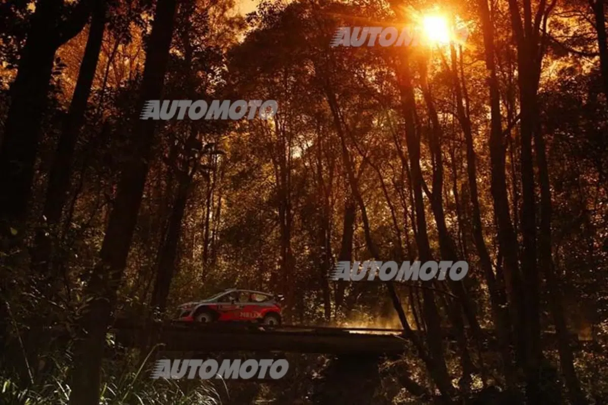 WRC Australia 2014: le foto più belle ed emozionanti (9)