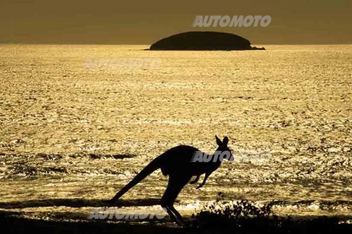 WRC Australia 2014: le foto più belle ed emozionanti (17)