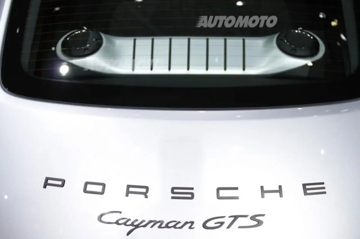 Porsche al Salone di Parigi 2014 (5)