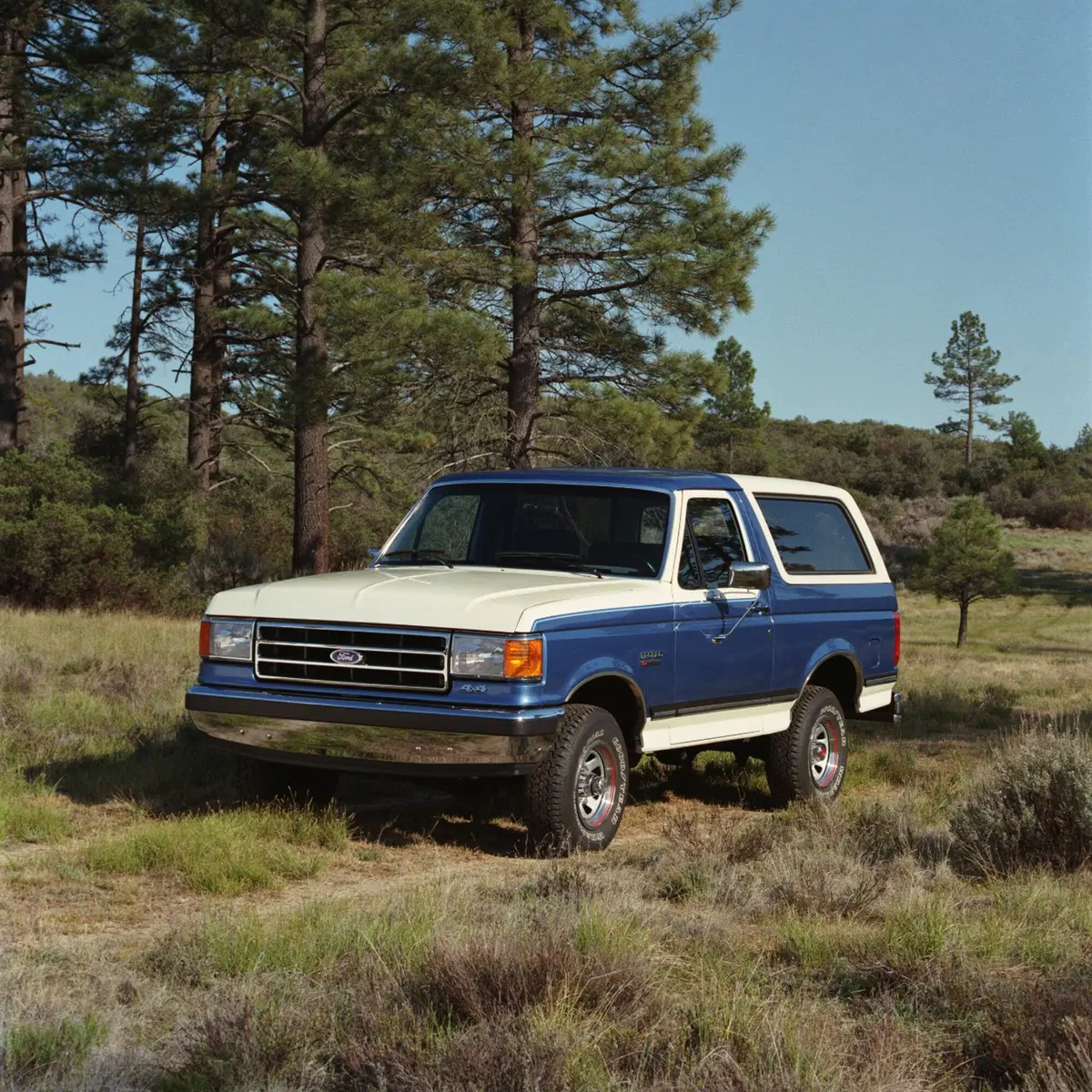 Ford, ritorna il SUV Bronco (13)