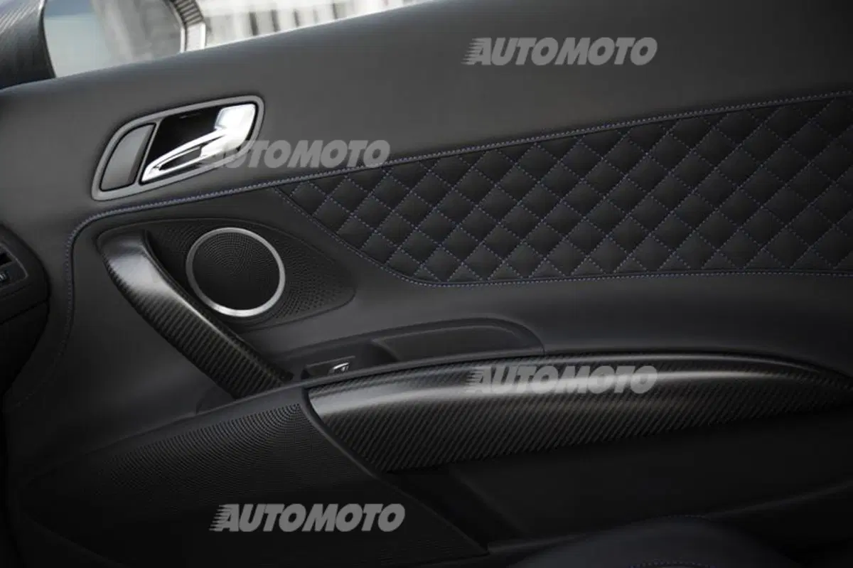 Audi R8 LMX (28)