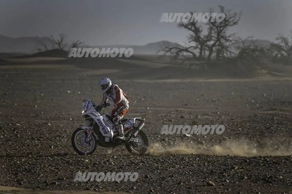 OiLibya Rally Marocco. Ufficiali e gentiluomini. (7)