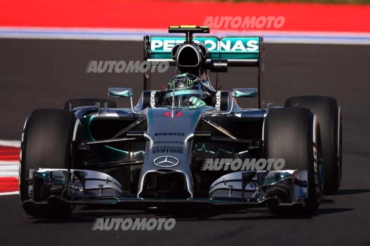 Formula 1 Russia 2014: Hamilton in pole. Disastro Vettel, Alonso ci prova (7)