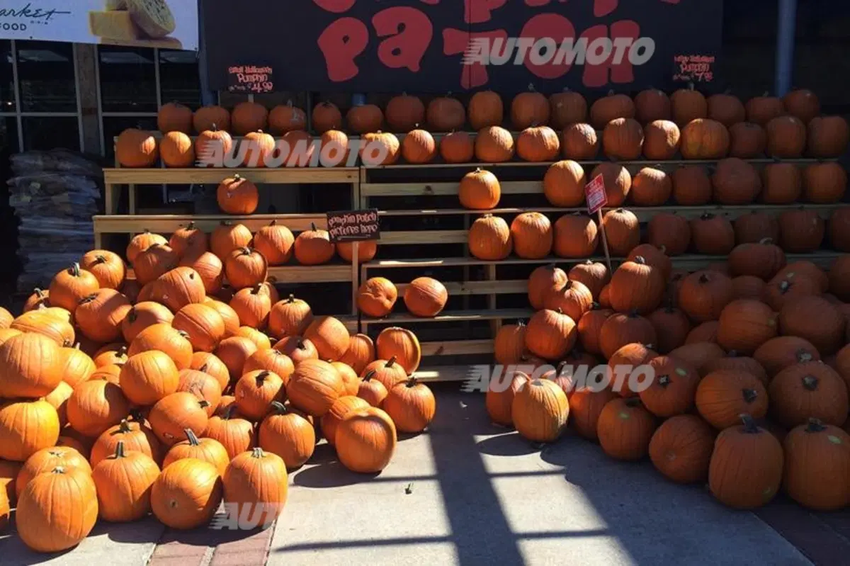 Formula 1 Austin 2014: cosa significa cucinare negli USA per il Circus (9)