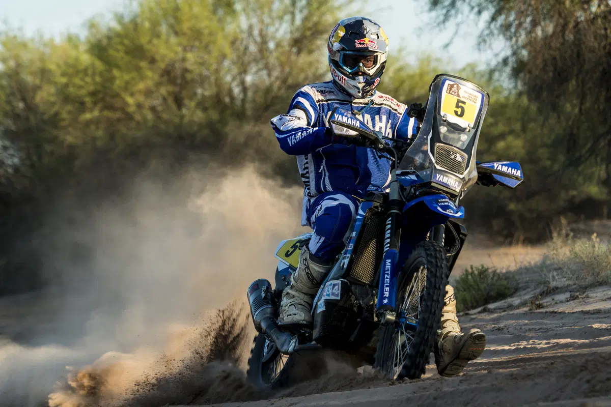 Dakar 2017, Live Day 11 (6)
