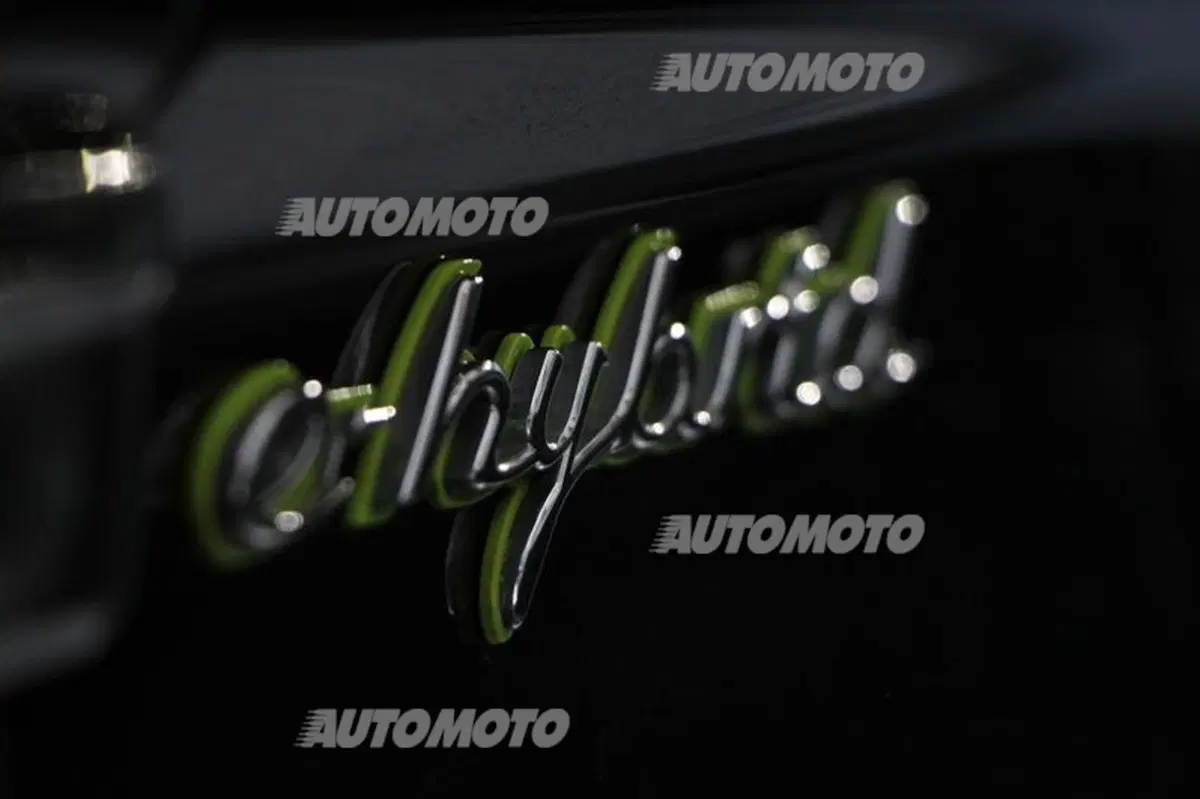 Porsche Panamera S E-Hybrid: 24 ore di gara per scoprire quanto consuma davvero (34)