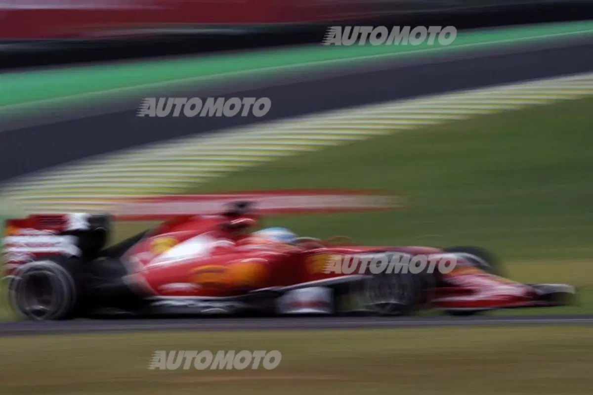 Formula 1 Brasile 2014: Rosberg in testa alle libere del venerdì (27)