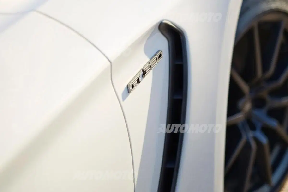 Ford Mustang Shelby GT350: quando i cavalli non bastano mai (12)