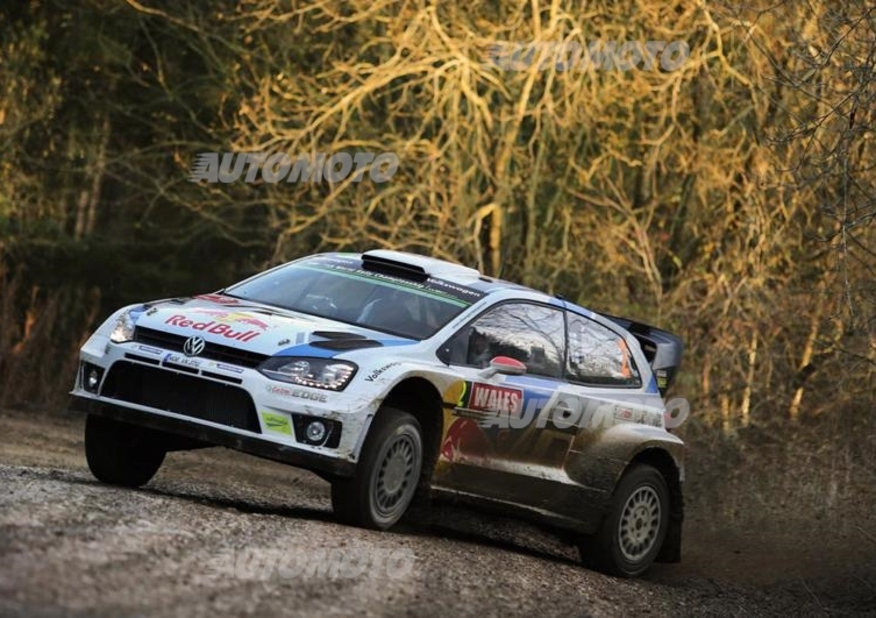 WRC Wales 2014, tiriamo le somme del Mondiale