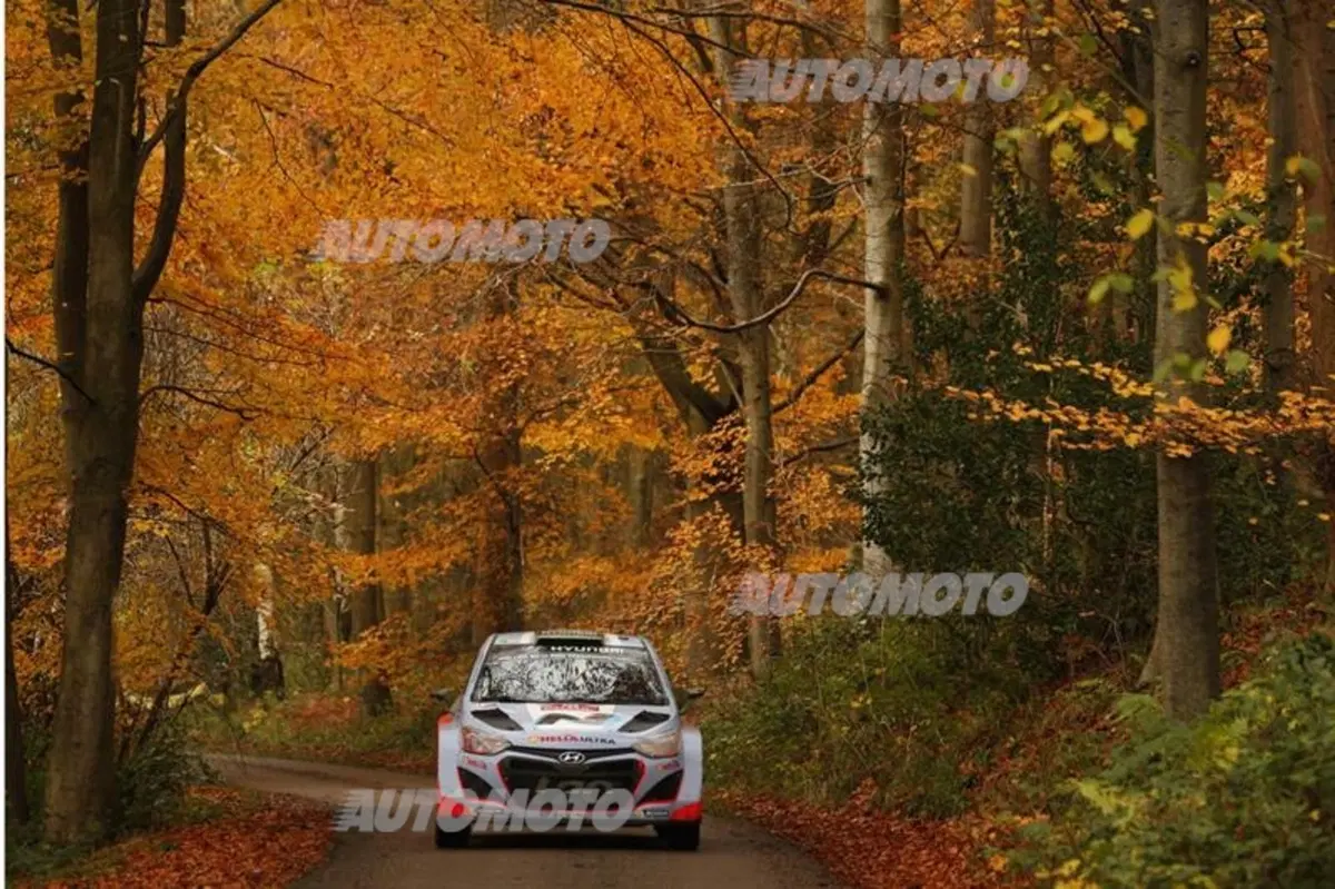 WRC Wales 2014, tiriamo le somme del Mondiale (2)