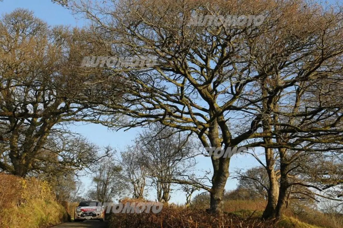 WRC Wales 2014, tiriamo le somme del Mondiale (16)
