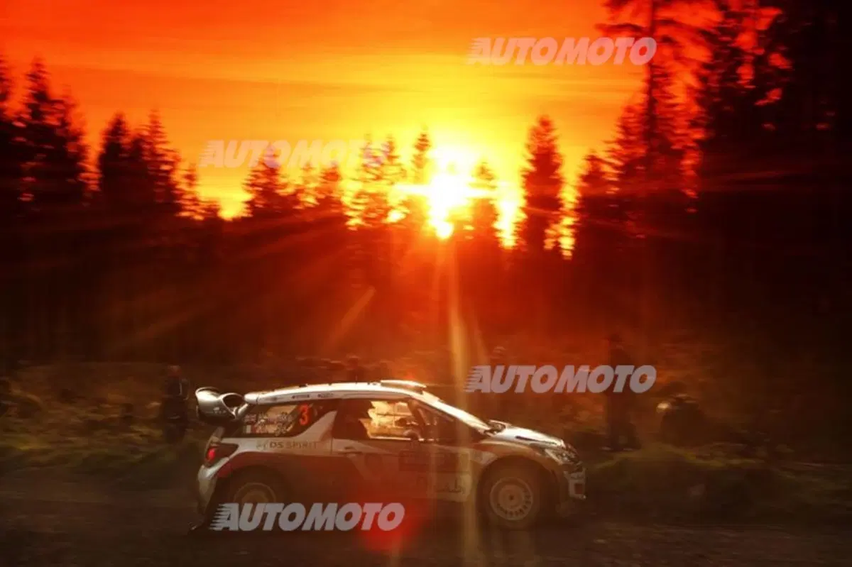 WRC Wales 2014, tiriamo le somme del Mondiale (17)