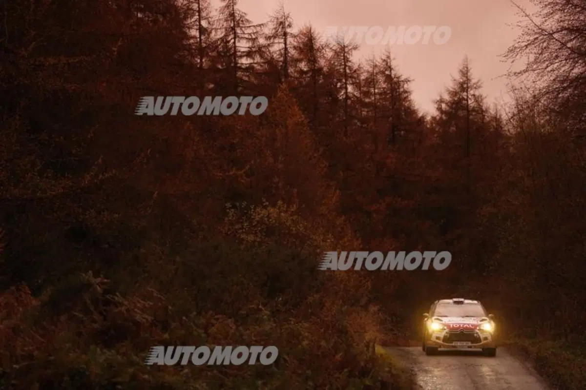 WRC Wales 2014, tiriamo le somme del Mondiale (18)
