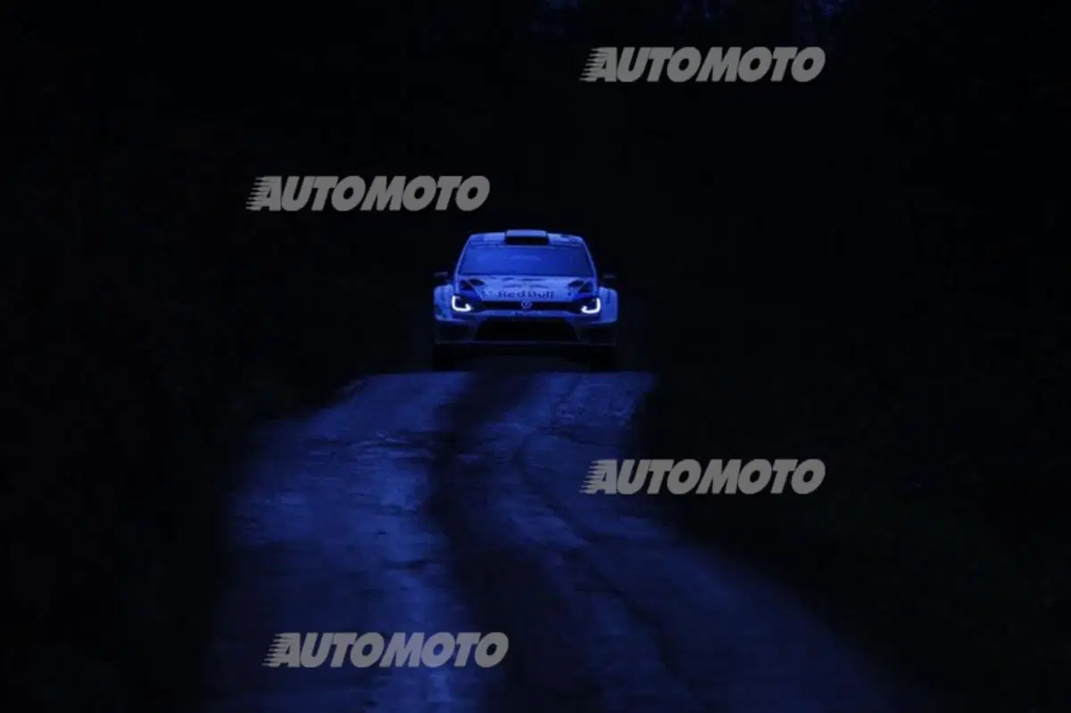 WRC Wales 2014, tiriamo le somme del Mondiale (19)