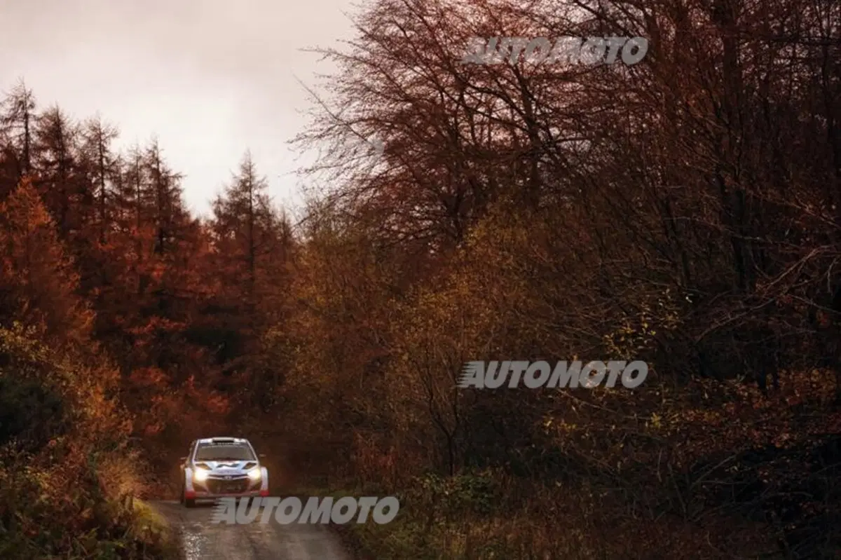 WRC Wales 2014, tiriamo le somme del Mondiale (20)