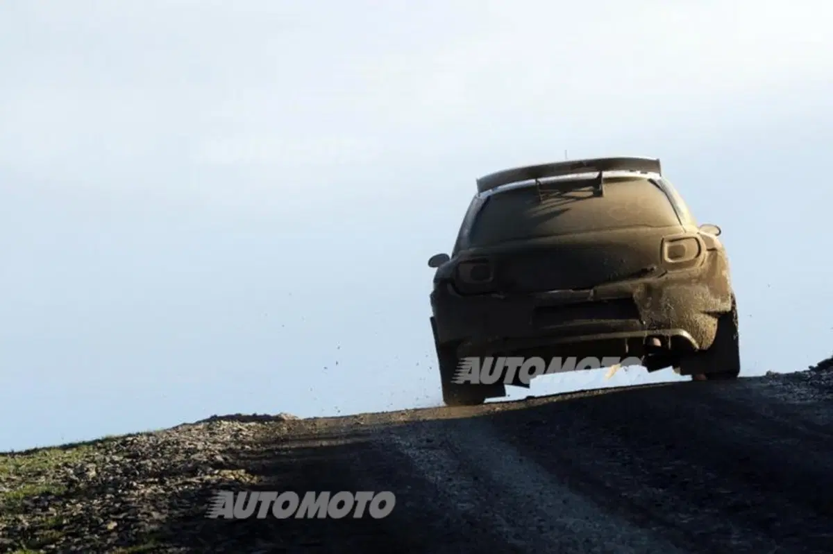 WRC Wales 2014, tiriamo le somme del Mondiale (23)