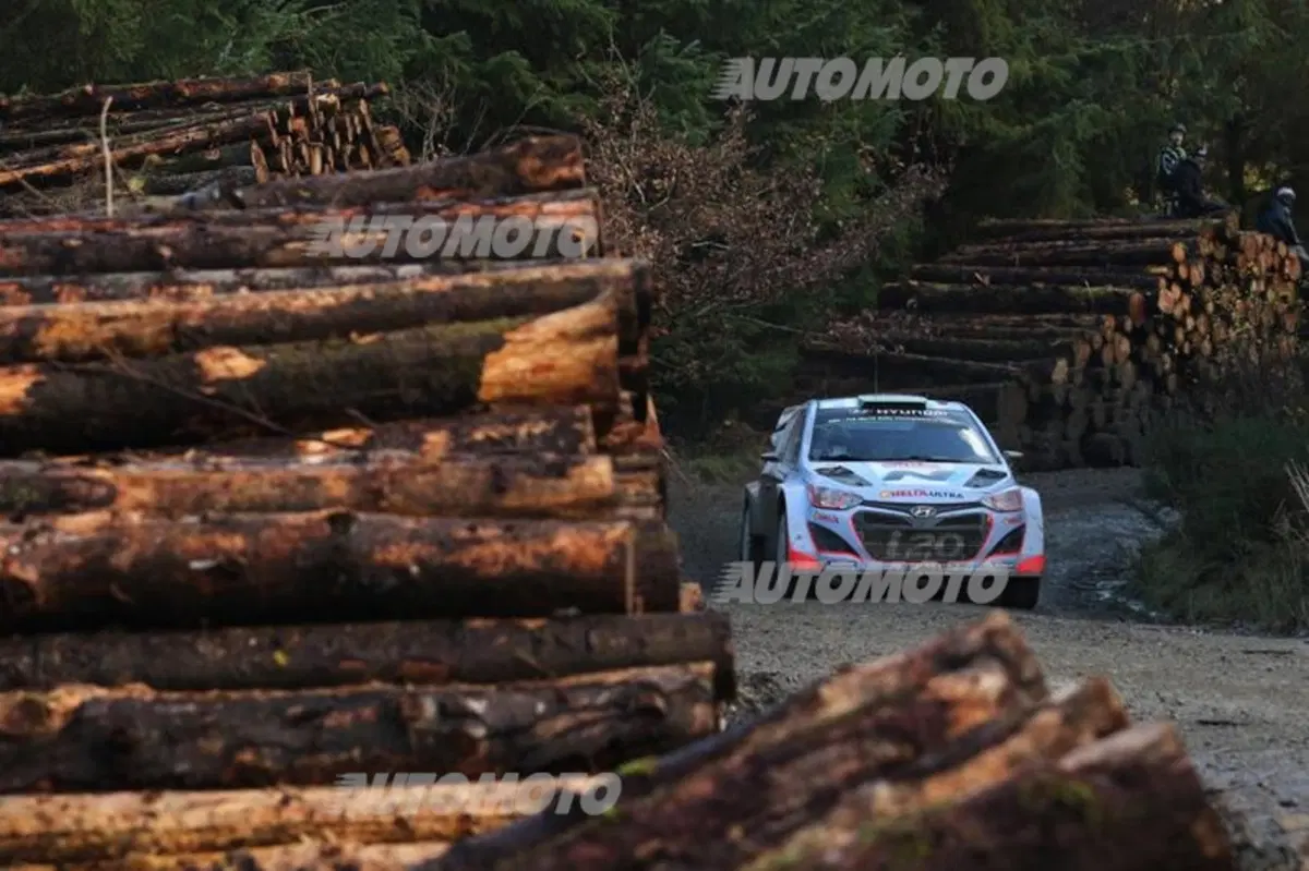 WRC Wales 2014, tiriamo le somme del Mondiale (24)