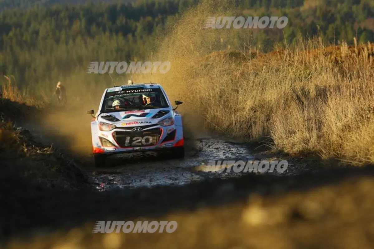 WRC Wales 2014, tiriamo le somme del Mondiale (28)