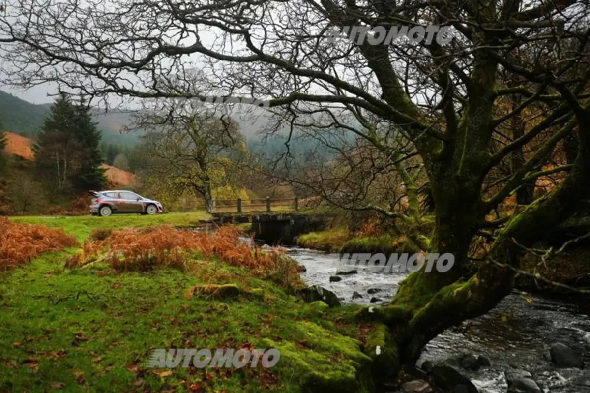 WRC Wales 2014, tiriamo le somme del Mondiale (39)