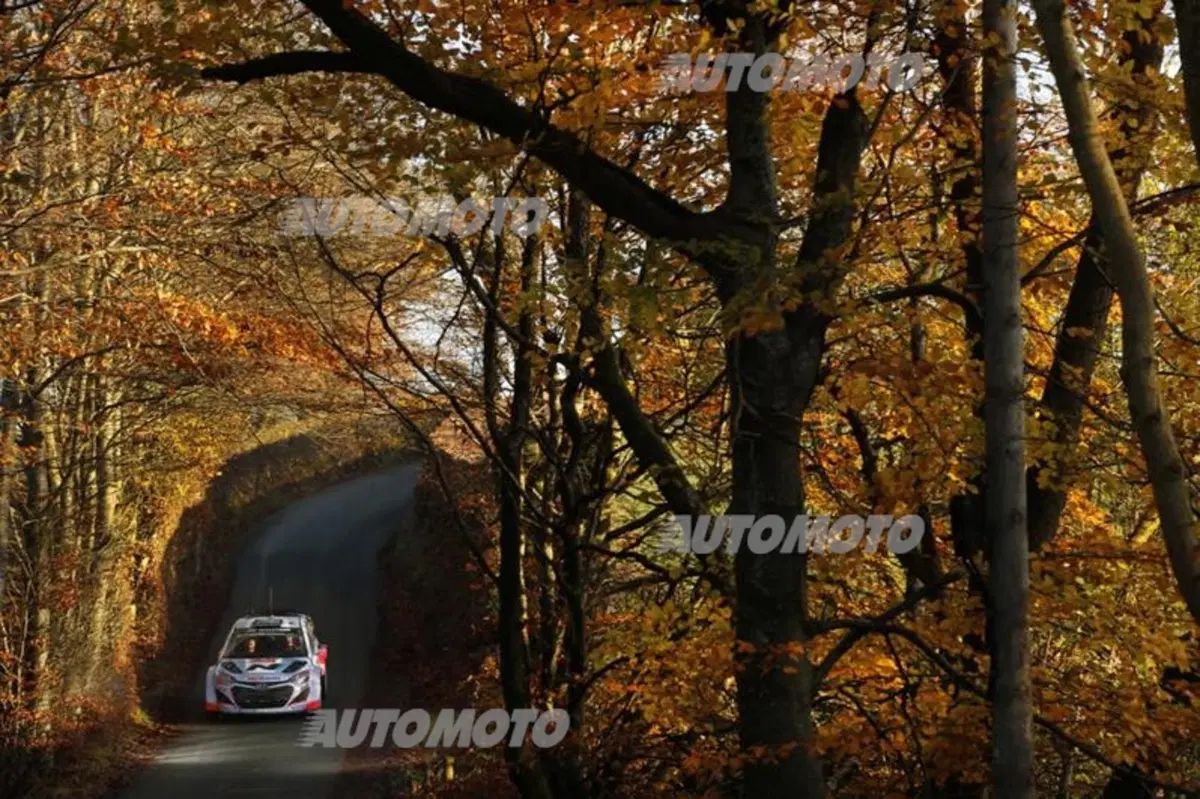 WRC Wales 2014, tiriamo le somme del Mondiale (49)
