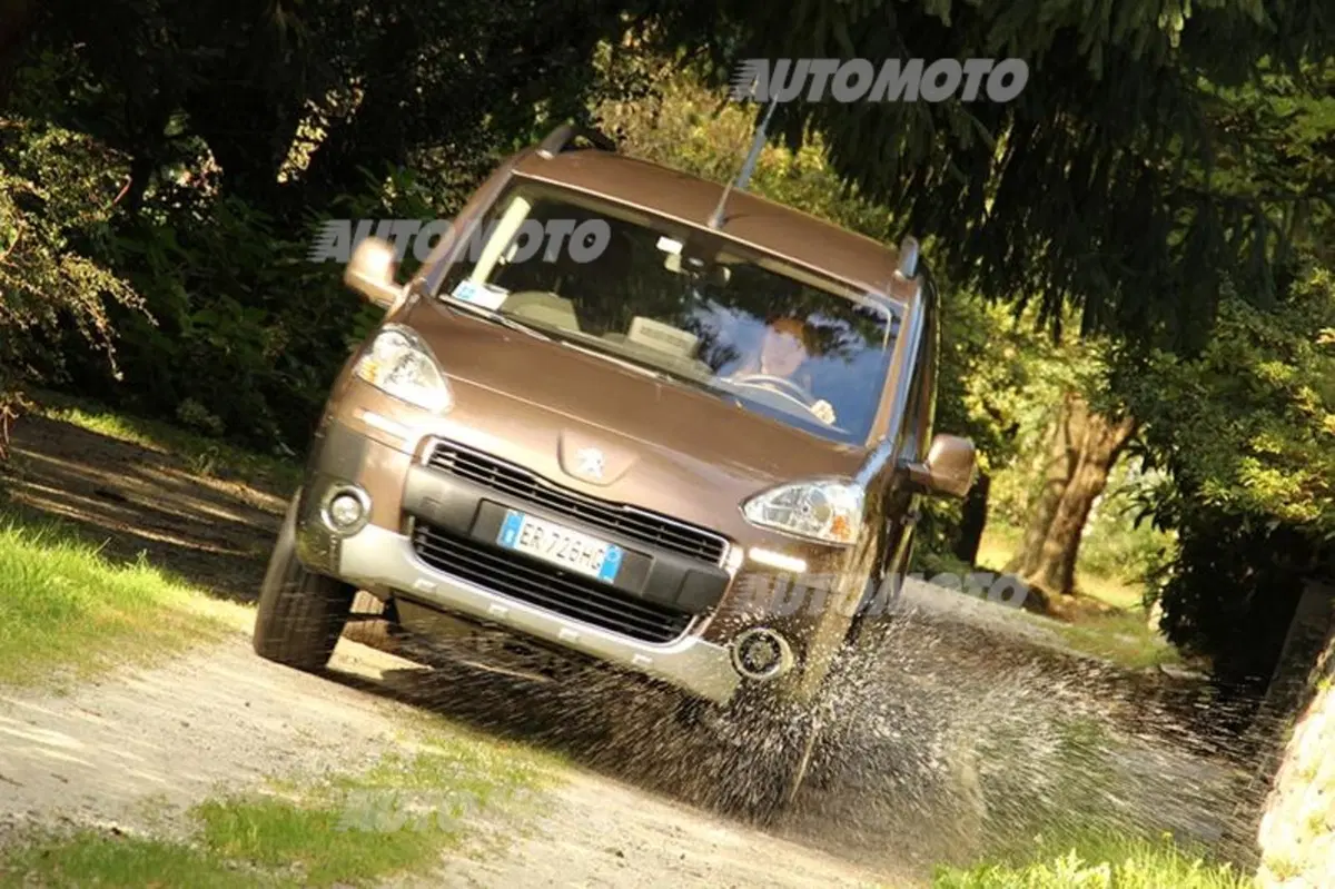 Peugeot Partner 4x4 Dangel