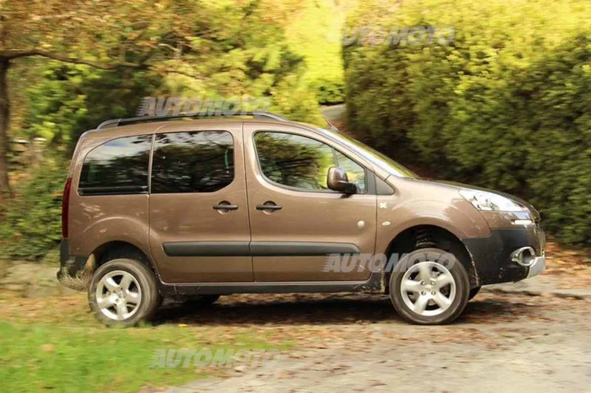 Peugeot Partner 4x4 Dangel (2)