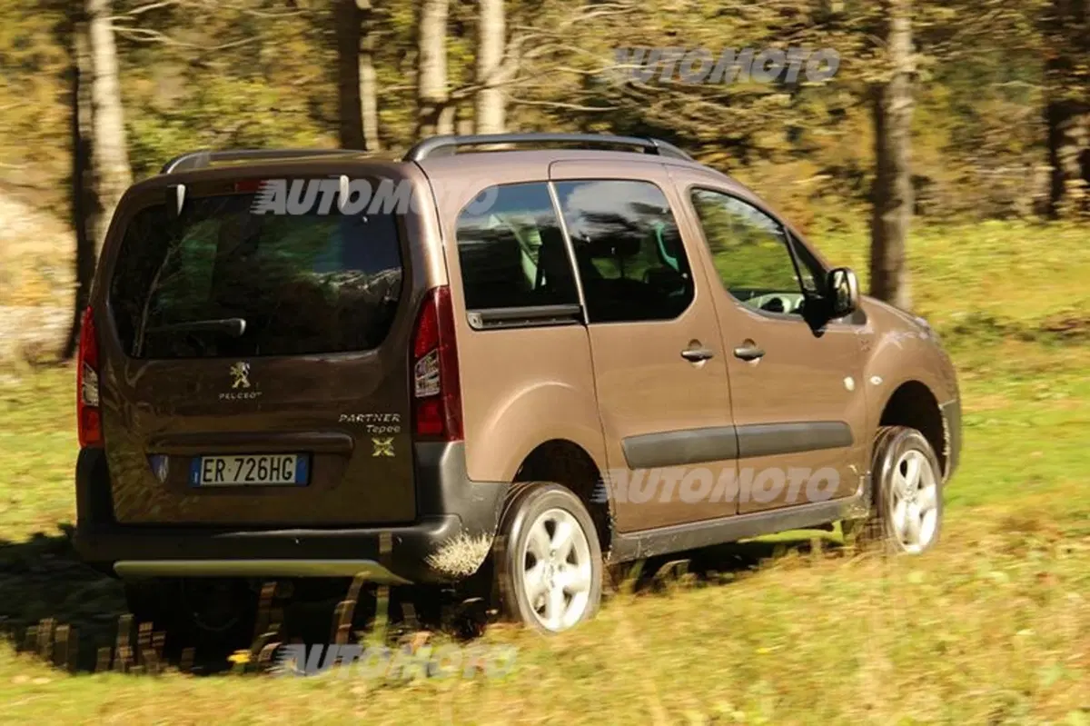 Peugeot Partner 4x4 Dangel (3)