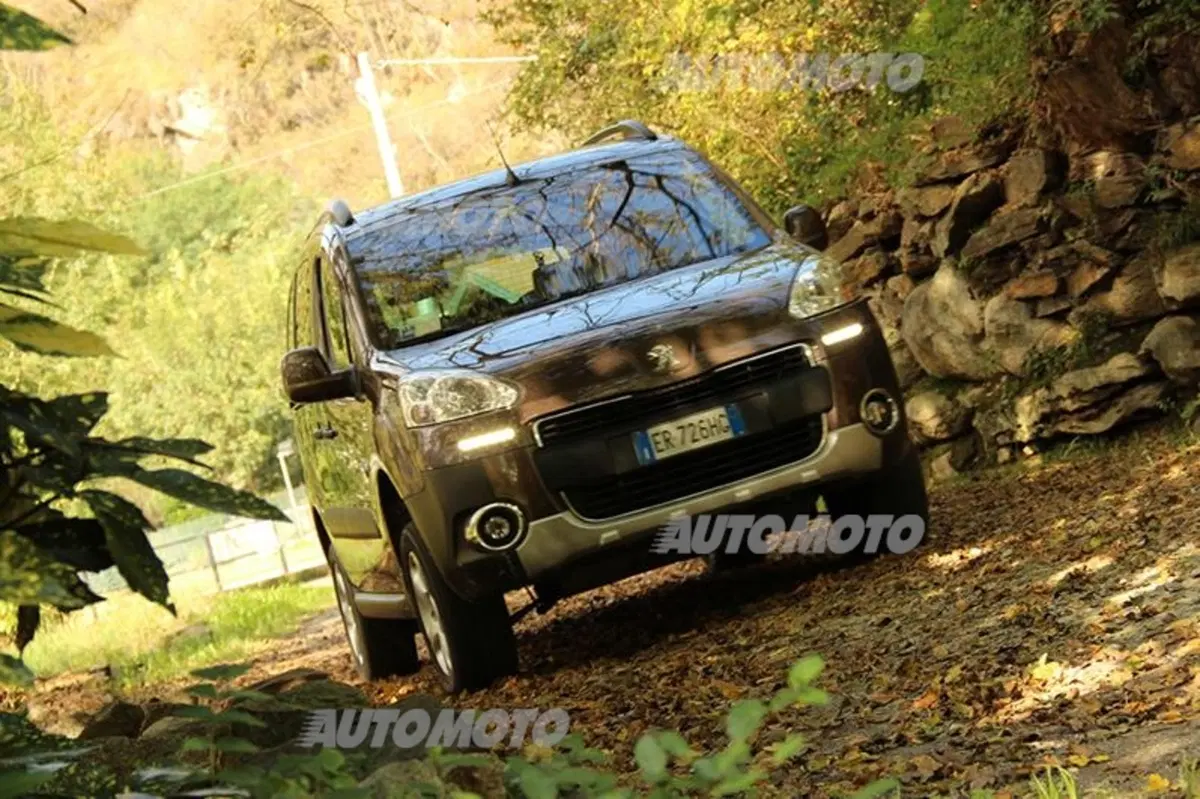 Peugeot Partner 4x4 Dangel (4)