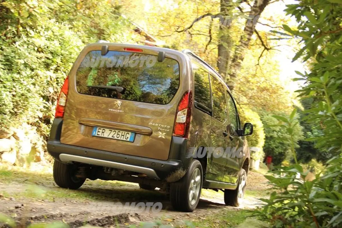 Peugeot Partner 4x4 Dangel (5)