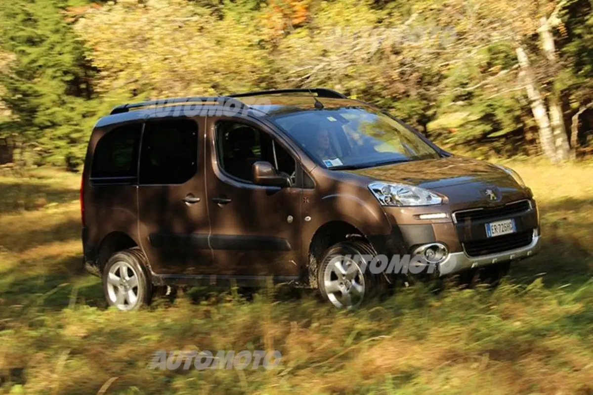 Peugeot Partner 4x4 Dangel (6)