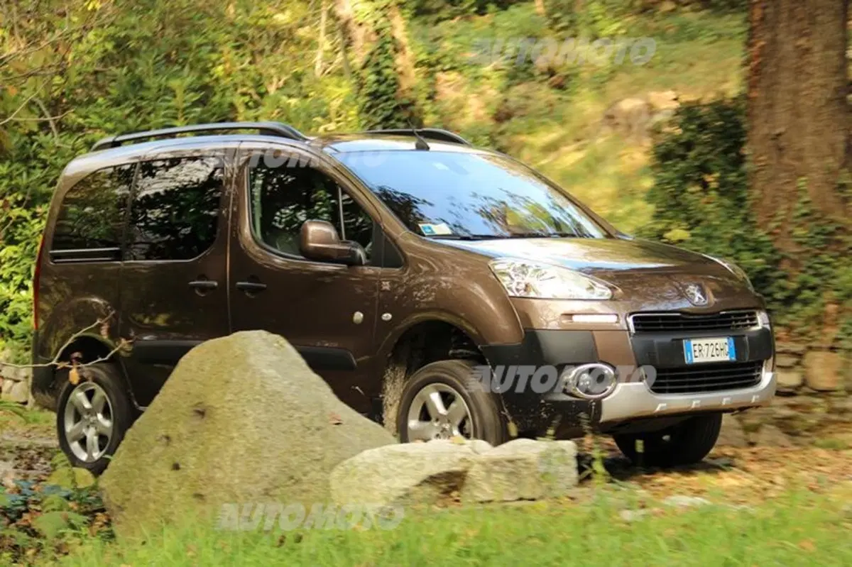 Peugeot Partner 4x4 Dangel (7)