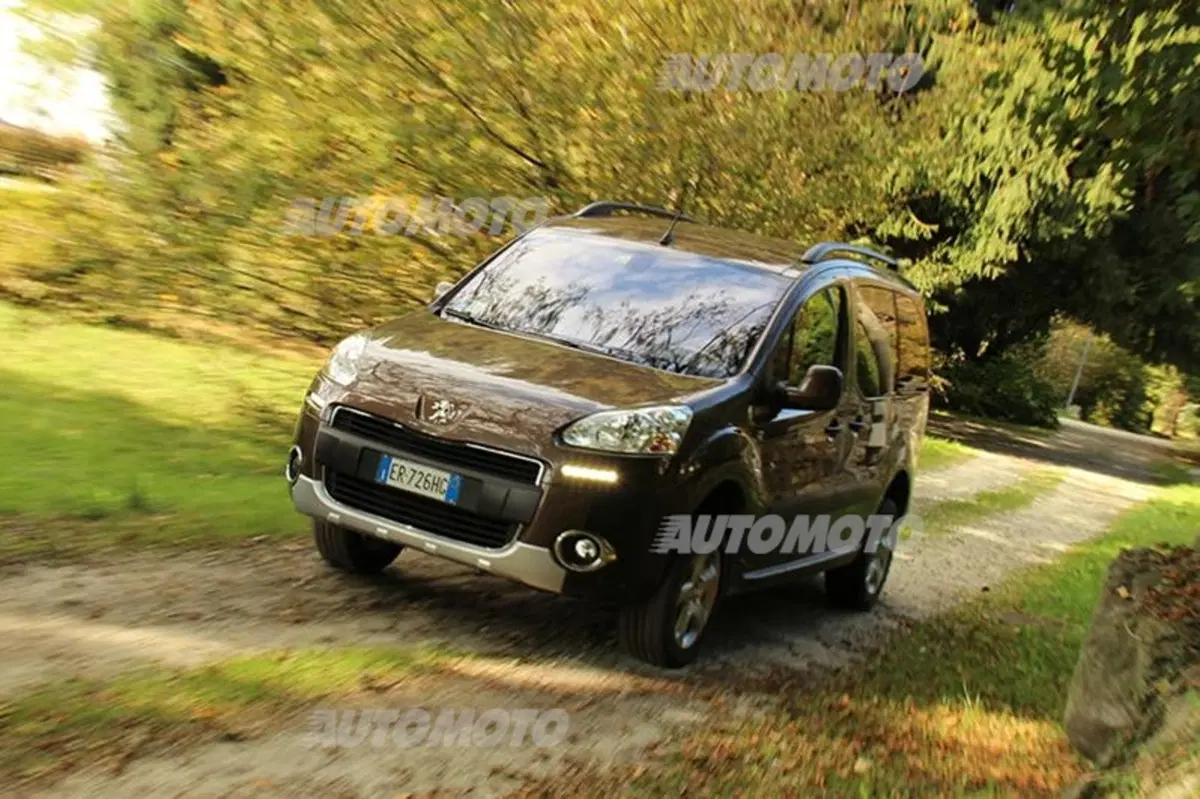 Peugeot Partner 4x4 Dangel (8)