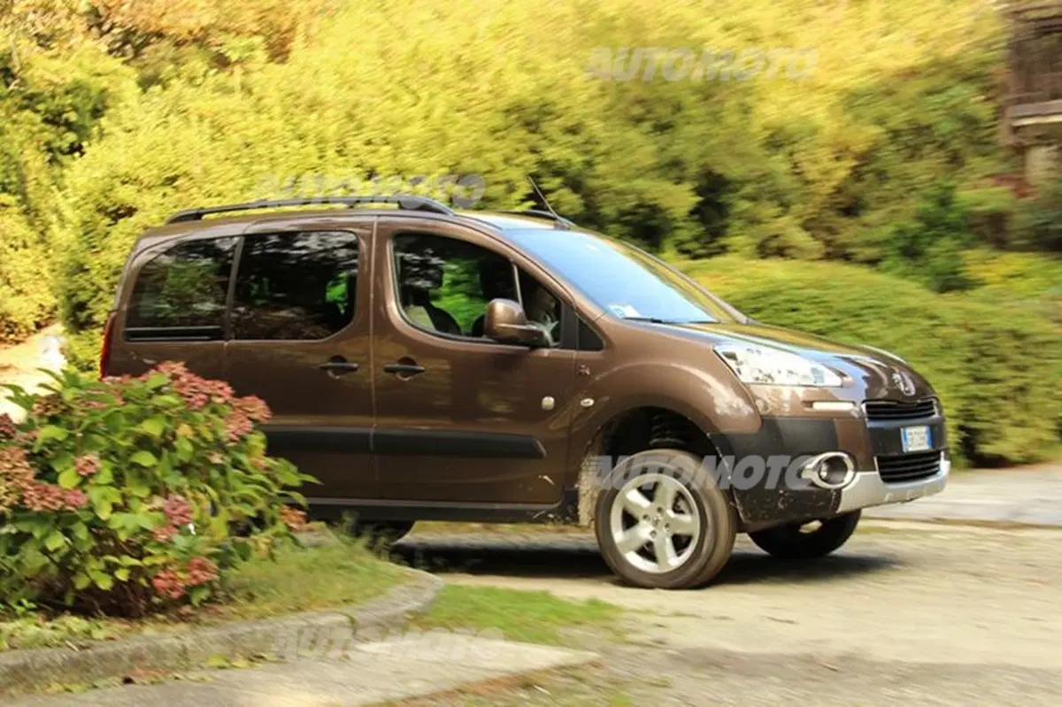 Peugeot Partner 4x4 Dangel (9)