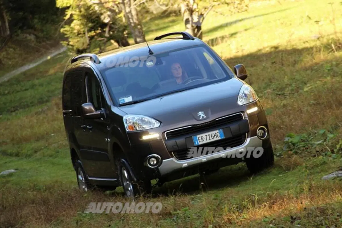 Peugeot Partner 4x4 Dangel (10)