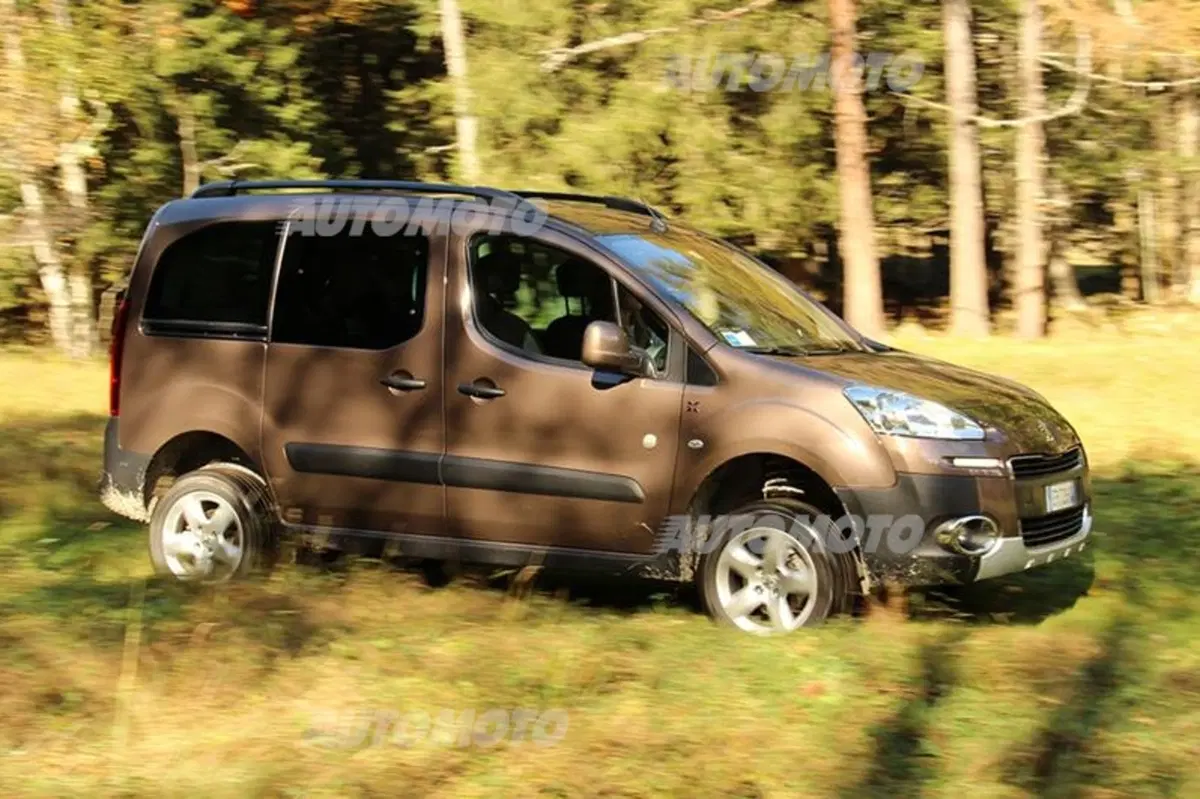 Peugeot Partner 4x4 Dangel (11)